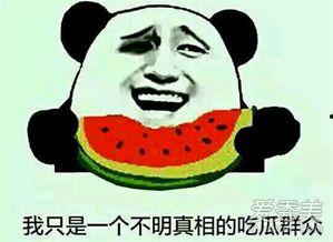 吃瓜的表情什么意思
